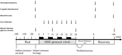 Effects of High Carbohydrate vs. High Protein Pre-exercise Feedings on Psychophysiological Responses to High Intensity Interval Exercise in Overweight Perimenopausal Women